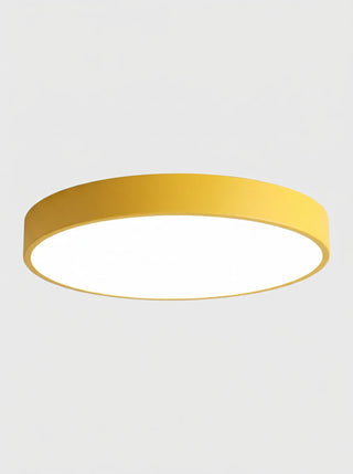 Round Ceiling Light | Modern Flush Mount Fixture