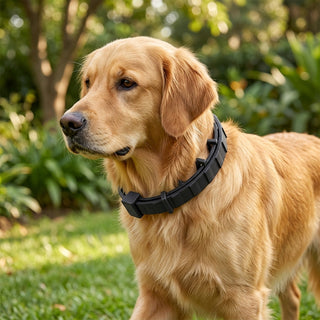 NaturalDefense Flea & Tick Collar for Cats & Dogs – 8+ Months | Halefield