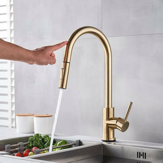 Touchless Sensor Kitchen Faucet With Pull Out Sprayer And Two Water Modes | Rollins