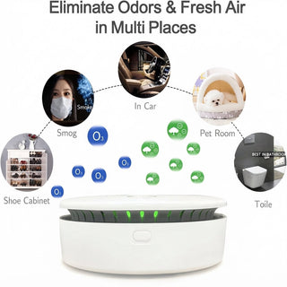 Rechargeable Cordless Air Purifier With Ozone Technology For Odor Removal | Tanner