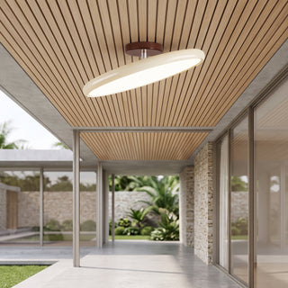 Modern Adjustable Ceiling Light | Velmora