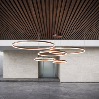 Modern Brushed Ring Pendant Light | Velunix