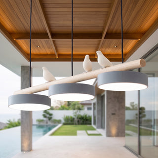 LED Bird Pendant Light Fixture | Norvexa