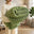 Matcha Green