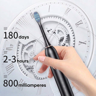 IPX7 Waterproof Sonic Toothbrush With 6 Modes And Long Battery Life | Greymere