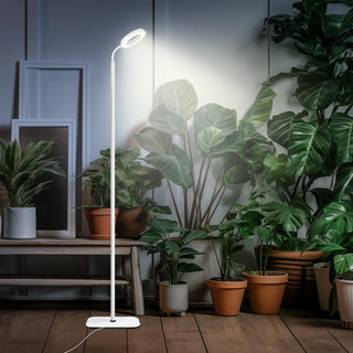 Standing Full Spectrum Grow Light With Flexible Gooseneck And Timer Function Dimmable | Hallam