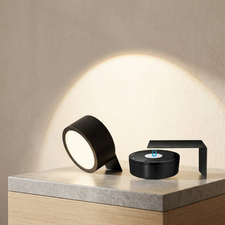Battery Powered Picture Light With Remote And 3 Dimmable Light Colors | Kesler