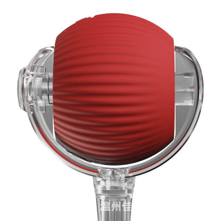 Interactive Rolling Ball Dog Toy with Moving Tail for Active Play | Tailora