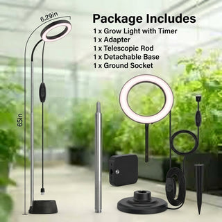 Adjustable Height Plant Grow Lamp With Full Spectrum LED And Auto Timer | Willowby