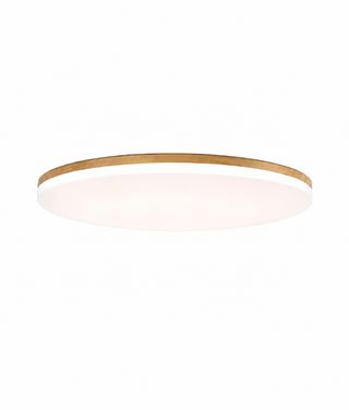 Round Dimmable LED Flush Mount Ceiling Light | Virelune