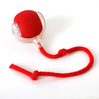 Interactive Rolling Ball Dog Toy with Moving Tail for Active Play | Tailora
