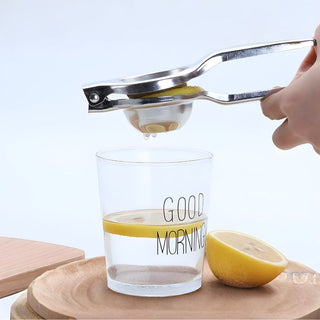 Manual Stainless Steel Citrus Juice Press Squeezer | Franklin