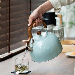 Stainless Steel Whistling Kettle With Ergonomic Handle And Induction Compatible Base For Stovetop | Jarvis