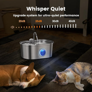 3.2L Stainless Steel Automatic Pet Water Fountain for Cats & Dogs | Hydriva