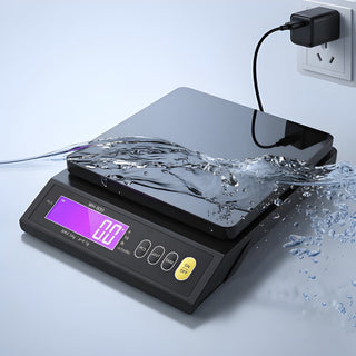 Precision Digital Kitchen Scale with Stainless Steel Platform | Cookvera