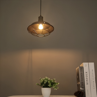 Industrial Metal Wire Cage Pendant Ceiling Light | Weston