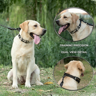 Adjustable Dog Prong Collar With Nylon Cover And Strong D Ring For Control | Talbot