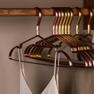 Slim Non Slip Aluminum Clothes Hangers Closet Organizer | Wallace