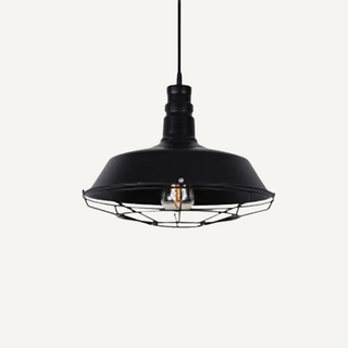 Industrial Metal Wire Cage Pendant Ceiling Light | Weston