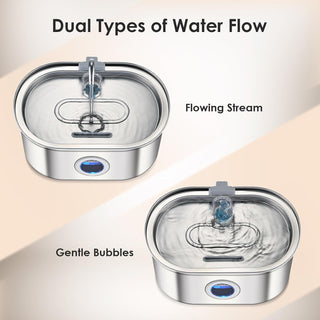 3.2L Stainless Steel Automatic Pet Water Fountain for Cats & Dogs | Hydriva