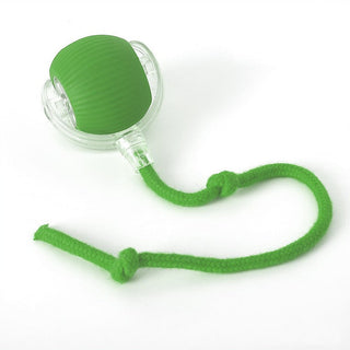Interactive Rolling Ball Dog Toy with Moving Tail for Active Play | Tailora