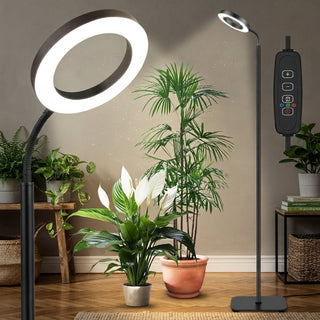 Adjustable Height Plant Grow Lamp With Full Spectrum LED And Auto Timer | Willowby