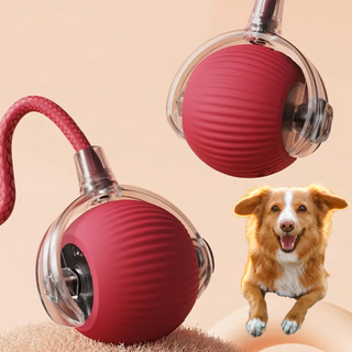 Interactive Rolling Ball Dog Toy with Moving Tail for Active Play | Tailora