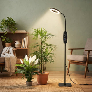 Adjustable Height Plant Grow Lamp With Full Spectrum LED And Auto Timer | Willowby