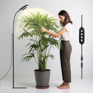20W LED Grow Light for Indoor Plants with Timer & Adjustable Height | Plantora